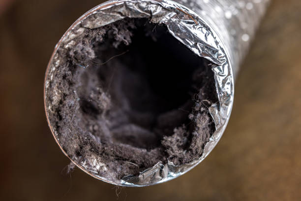 Best Affordable Air Duct Cleaning  in Clarendon, TX